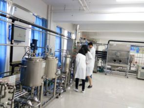 绿色农畜产品生产与加工行业技术开发基地的技术开发与创新