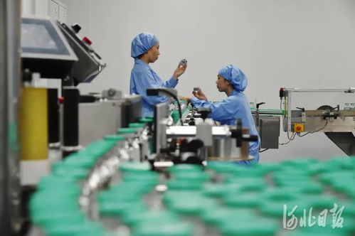 创新之路 技术开发的动力与未来