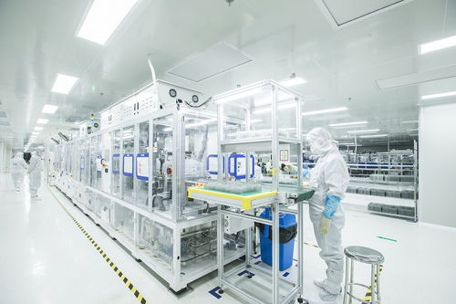 黄石经济技术开发区跻身全国50强，技术创新引领高质量发展